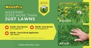 Weed Pro Lawn Care