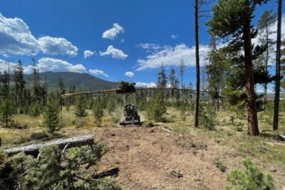 Clear Creek Fire Mitigation