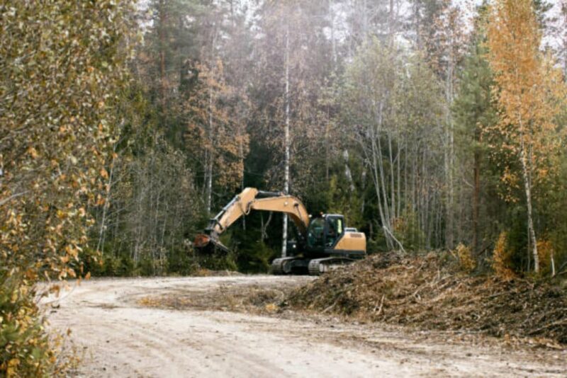 Bear Claw Land Services