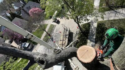Tactical Trees