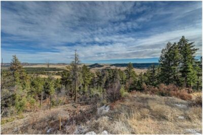 Clear Creek Fire Mitigation