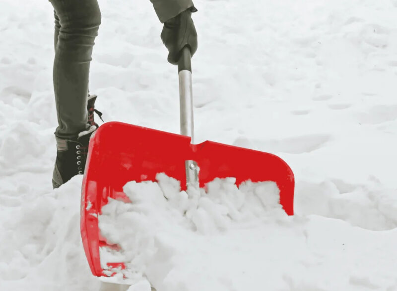 Snow Shovelers